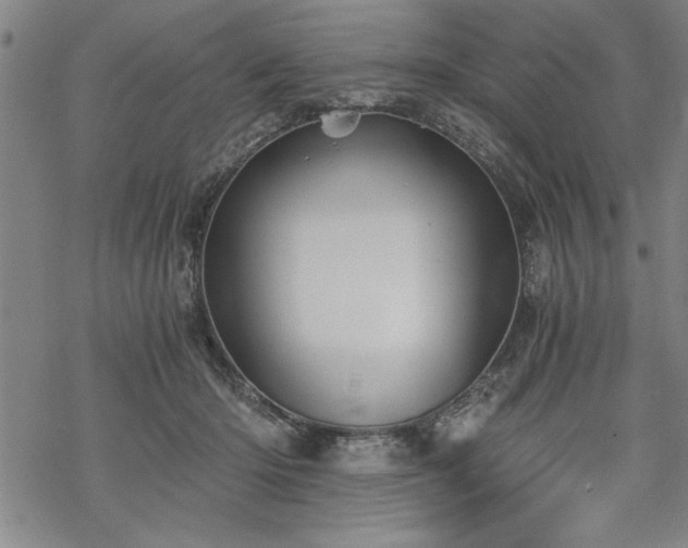 X0000069830414200605221212