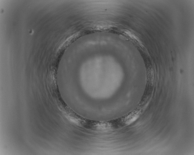 X0000069830415200605221212