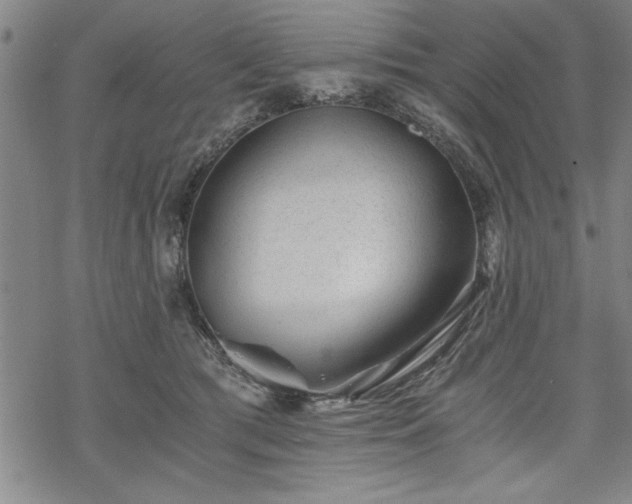 X0000069830417200605221212