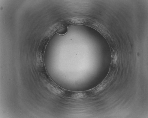 X0000069830418200605221212