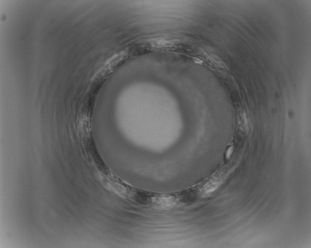 X0000069830419200605221212