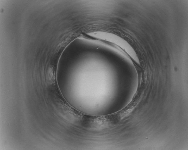 X0000069830420200605221212