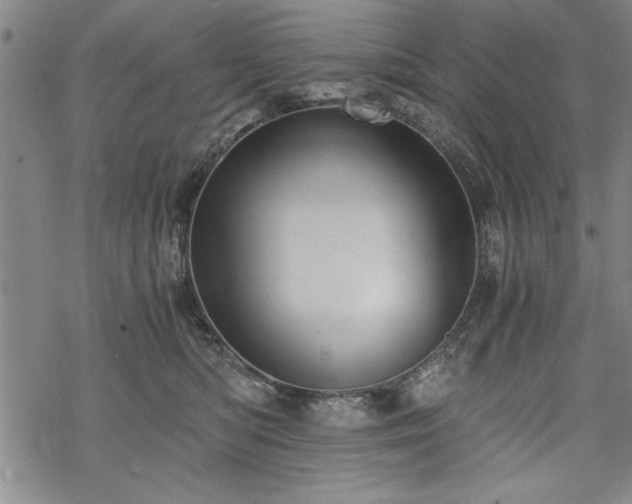 X0000069830422200605221212