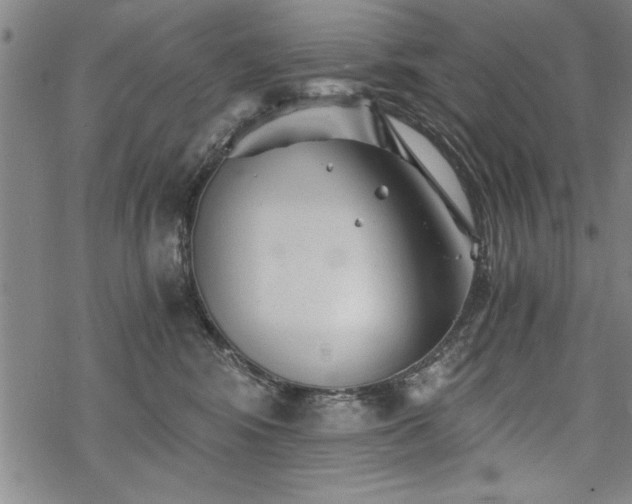 X0000069830424200605221212