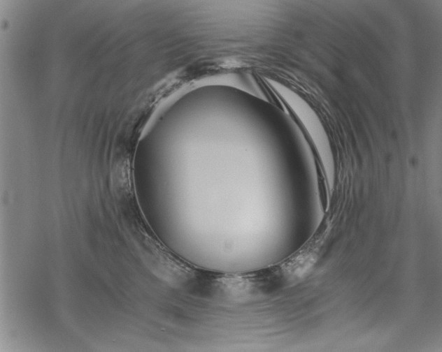 X0000069830425200605221212