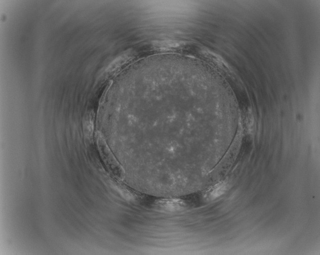 X0000069830427200605221211