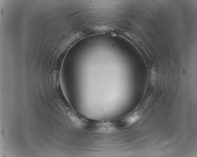 X0000069830428200605221211