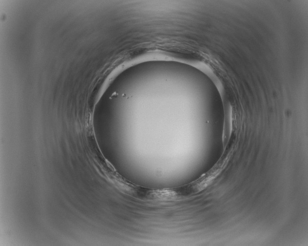 X0000069830429200605221211