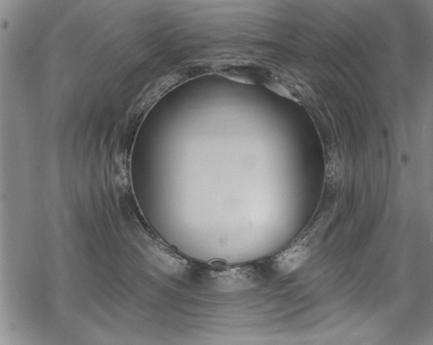 X0000069830430200605221211