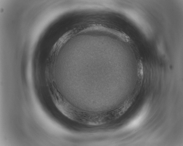 X0000069830431200605221211