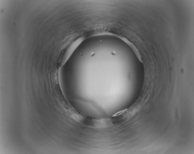 X0000069830432200605221211