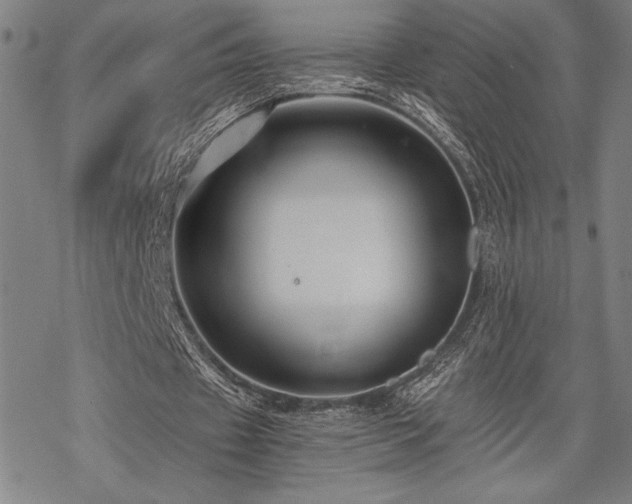 X0000069830433200605221211