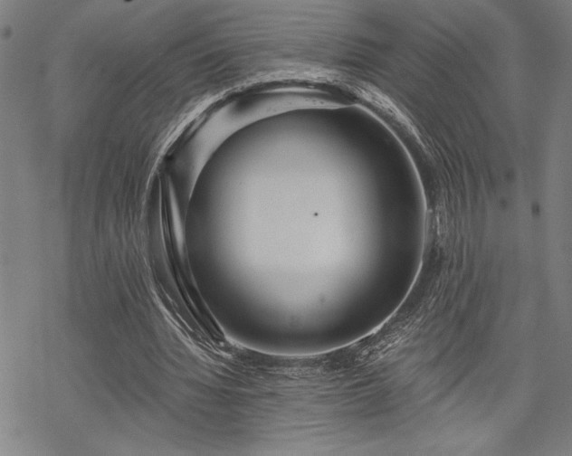 X0000069830436200605221211