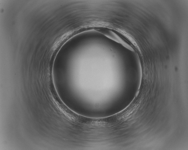 X0000069830437200605221211