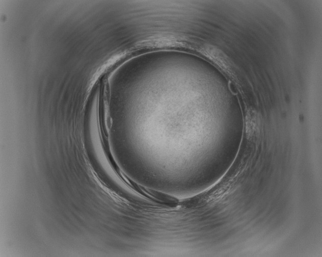 X0000069830438200605221211