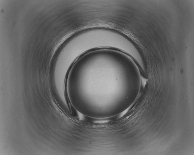 X0000069830440200605221211