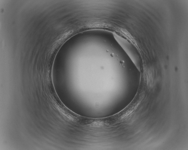 X0000069830441200605221211