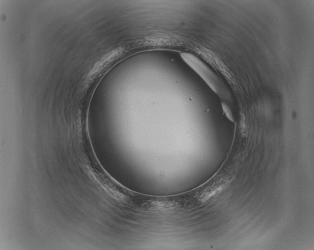 X0000069830442200605221211