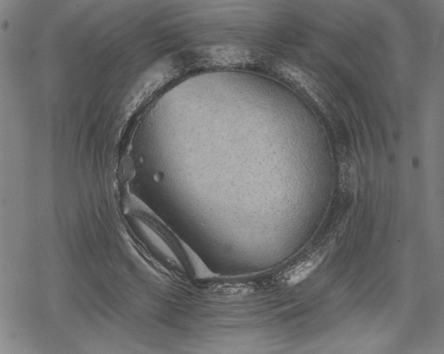 X0000069830443200605221211