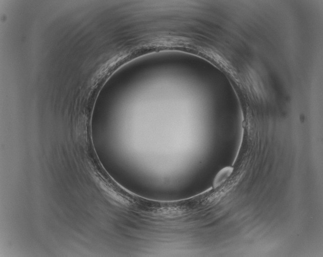 X0000069830445200605221211