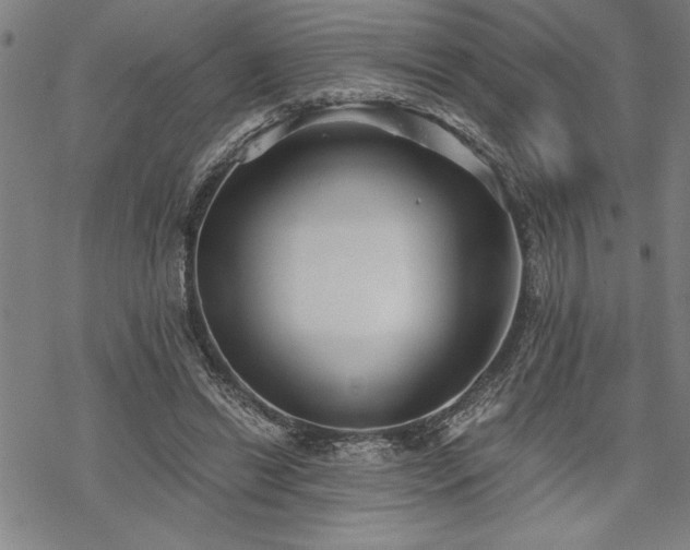 X0000069830446200605221211