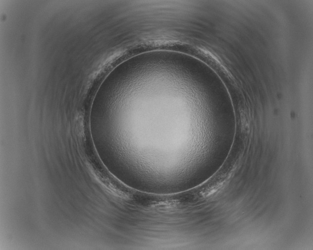 X0000069830447200605221211