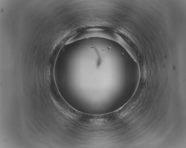 X0000069830448200605221211