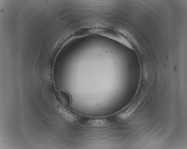 X0000069830449200605221211