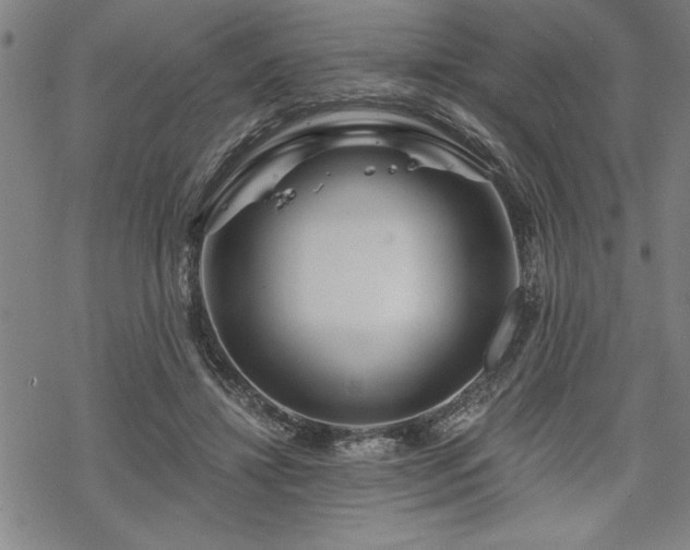 X0000069830452200605221211