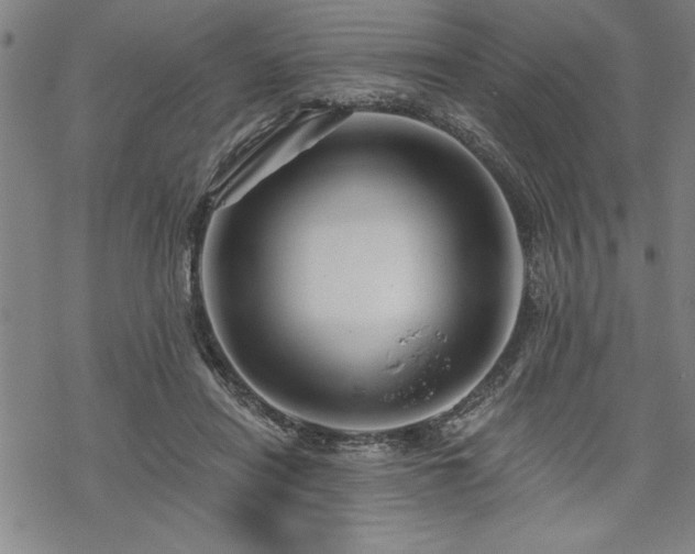 X0000069830454200605221211