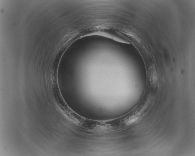 X0000069830455200605221211