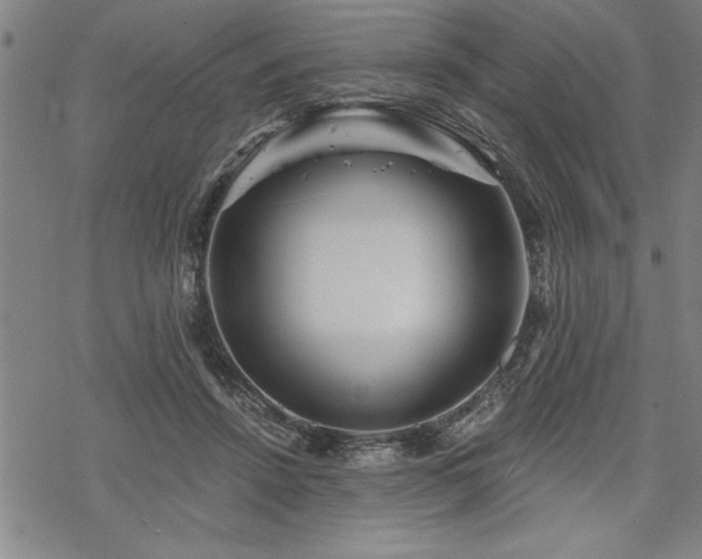 X0000069830456200605221211