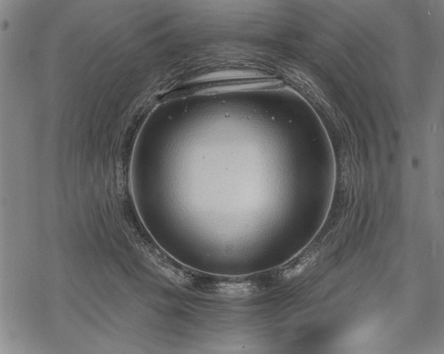 X0000069830457200605221211