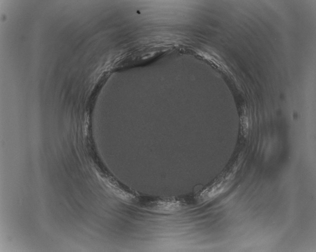 X0000069830458200605221211