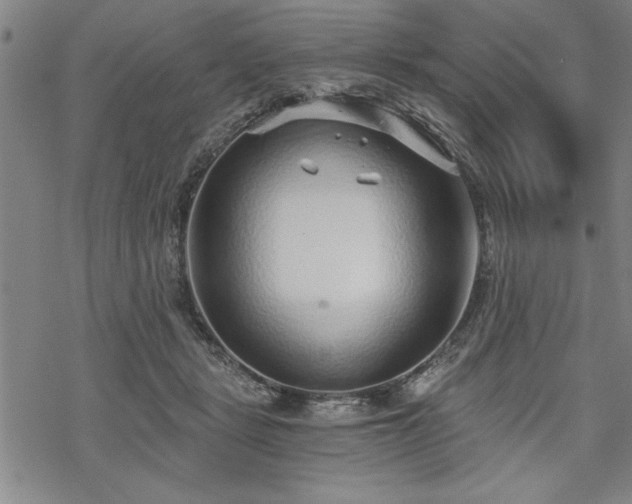 X0000069830461200605221211