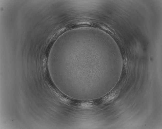 X0000069830462200605221211