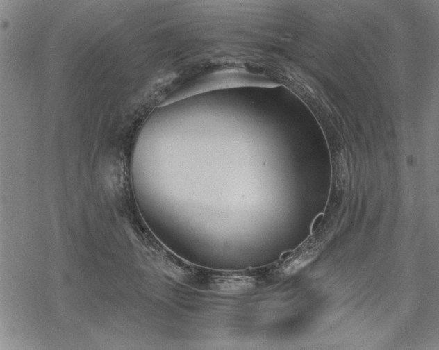 X0000069830463200605221211