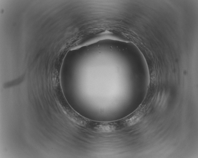 X0000069830464200605221211