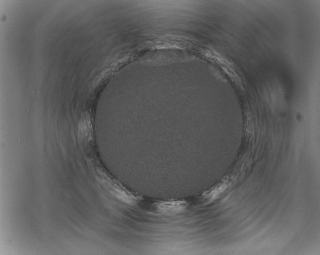 X0000069830465200605221211