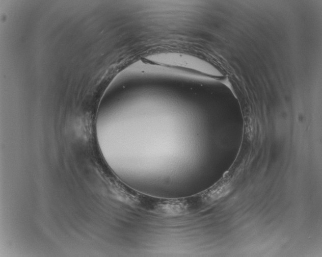 X0000069830466200605221211