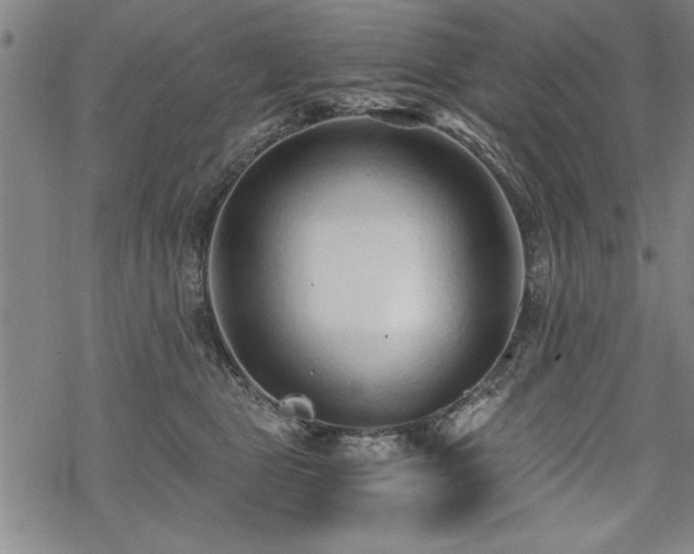 X0000069830469200605221211