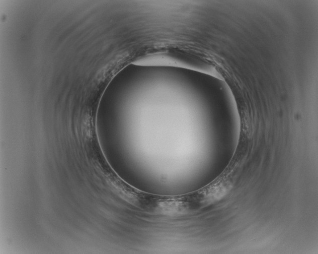 X0000069830470200605221211