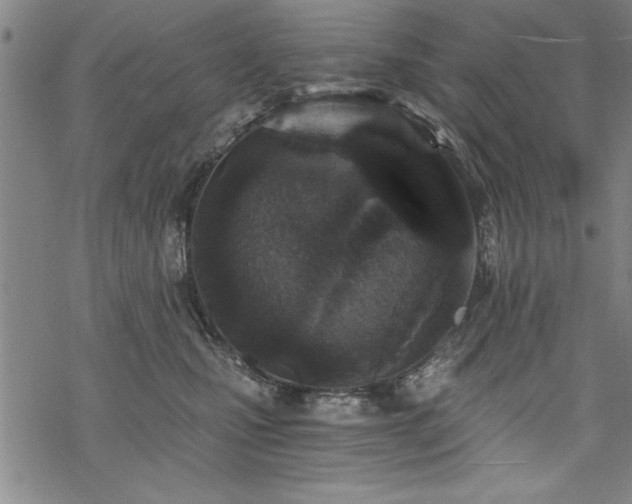 X0000069830471200605221211