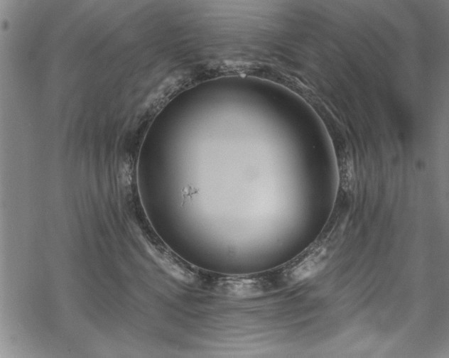 X0000069830472200605221211