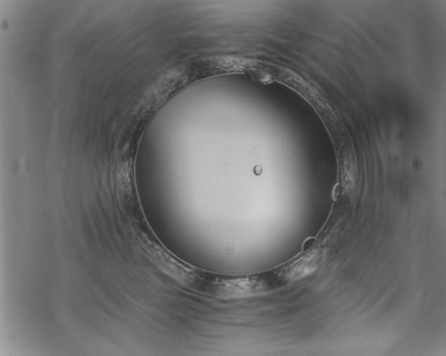 X0000069830473200605221211