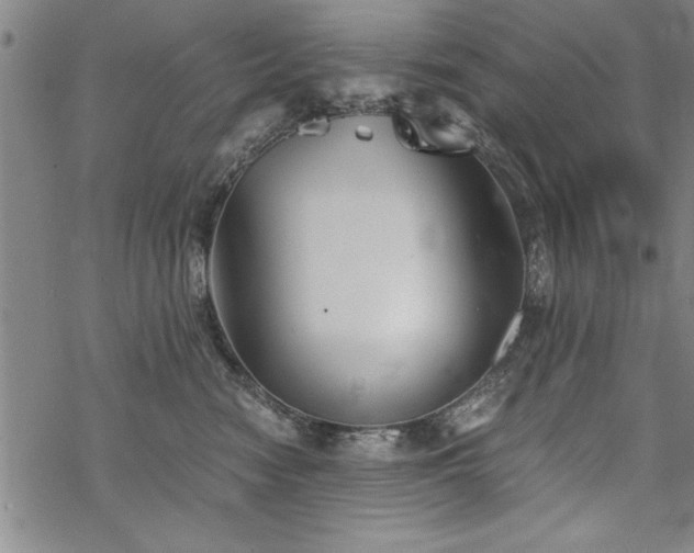 X0000069830474200605221211