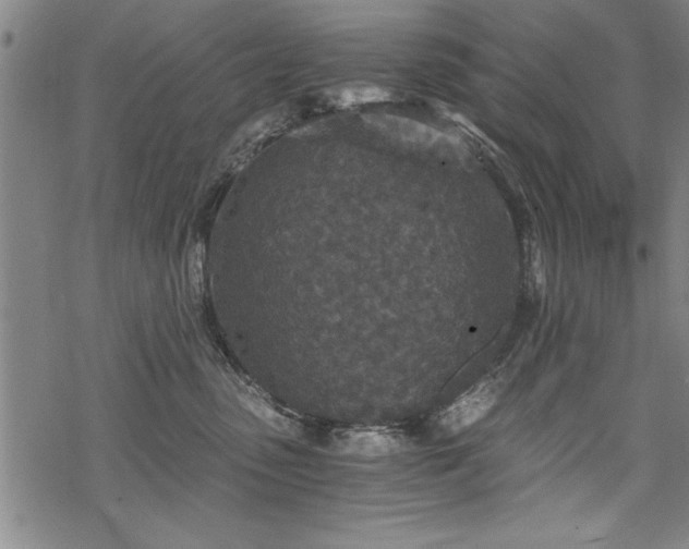 X0000069830475200605221211