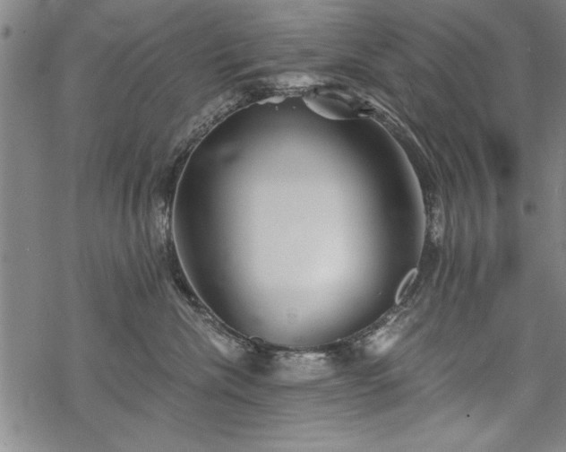 X0000069830476200605221211