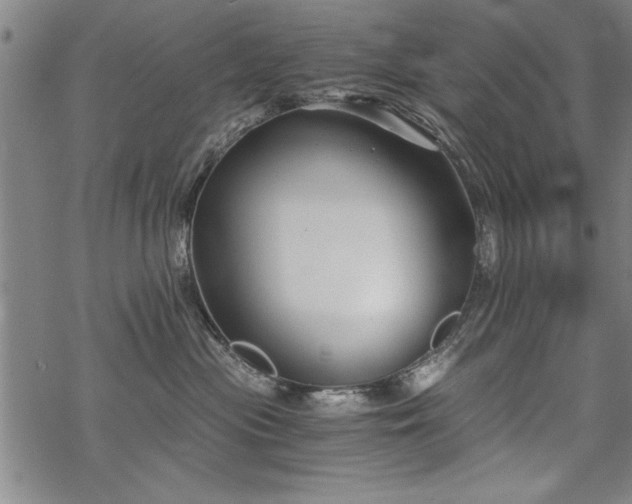 X0000069830477200605221211