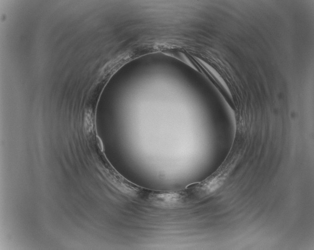 X0000069830478200605221211